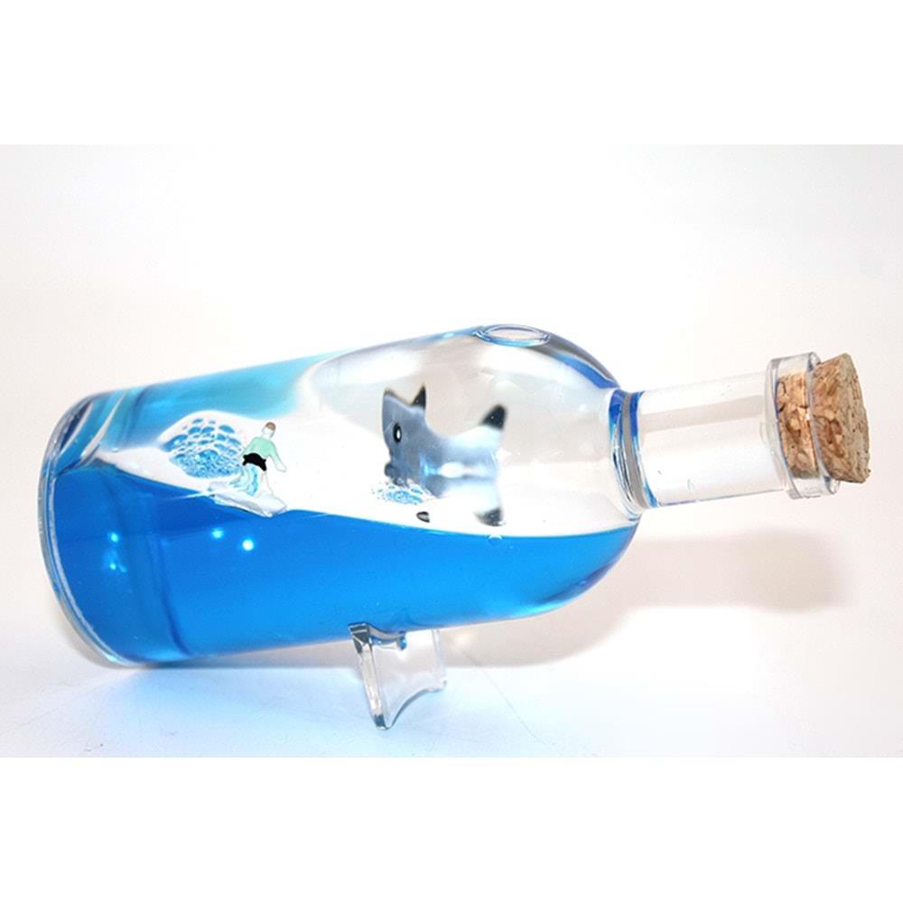 Sise Icinde Batmayan Gemi