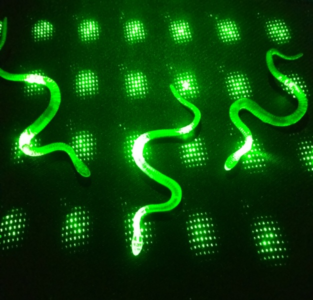 Parti Aksesuar Saka Yilan ve Kirkayak Karisik 36 Adet