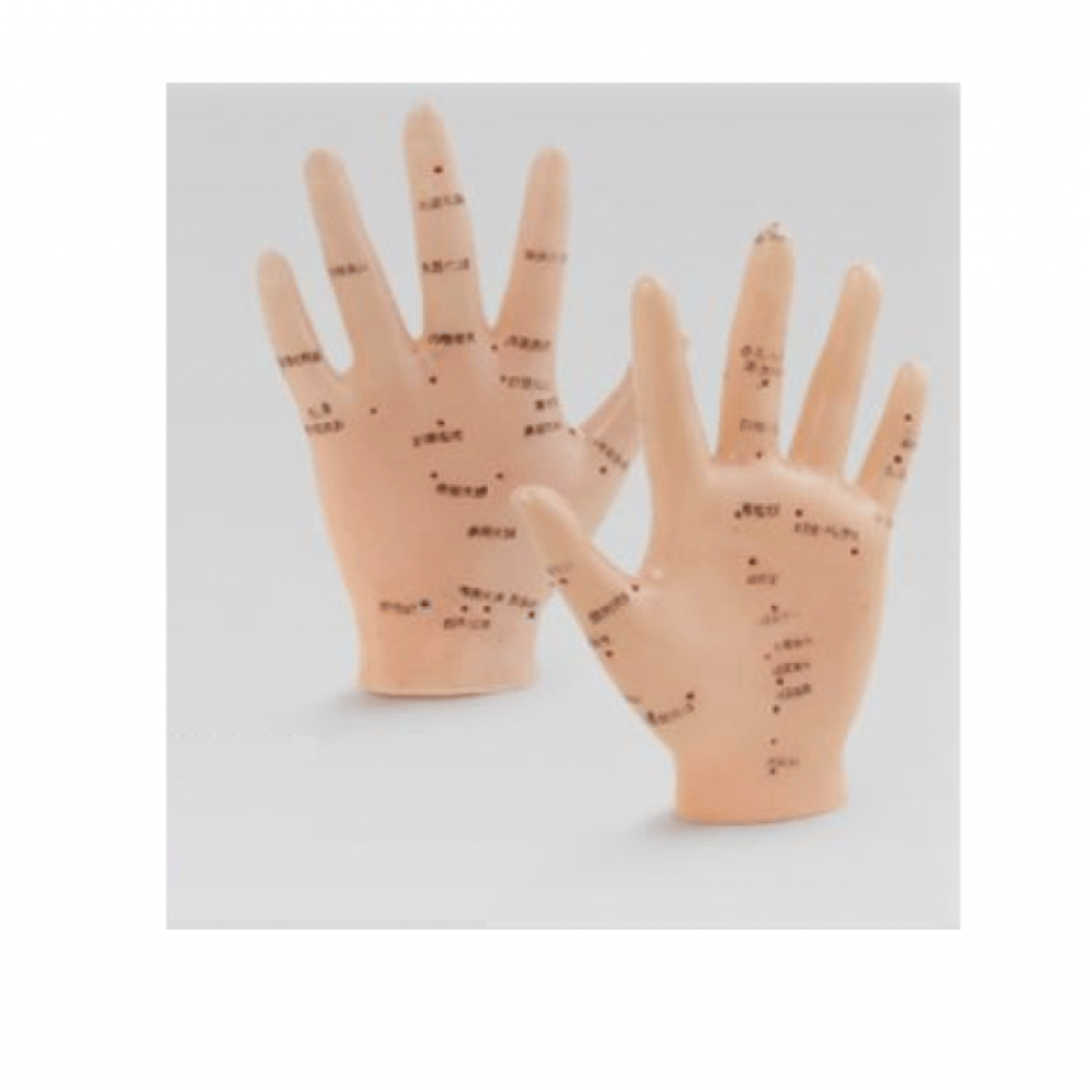 Akupunktur EL Maketi