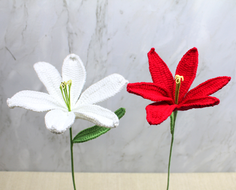 El Orgusu Zambak Cicegi