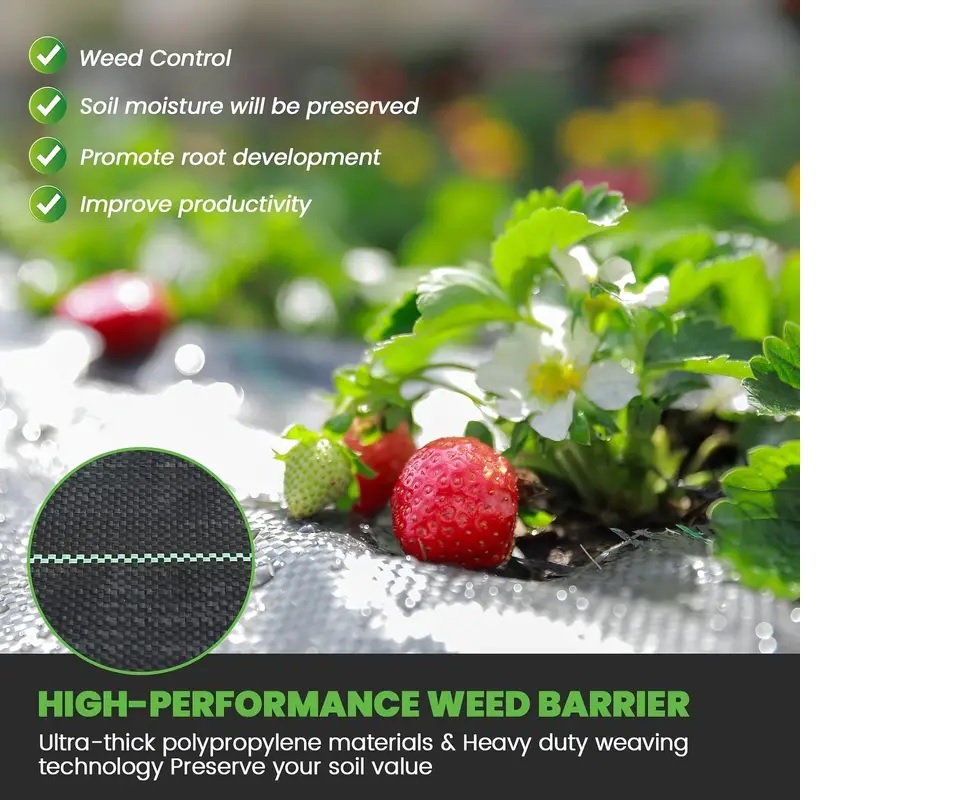 Yabani Ot Bariyer Mati